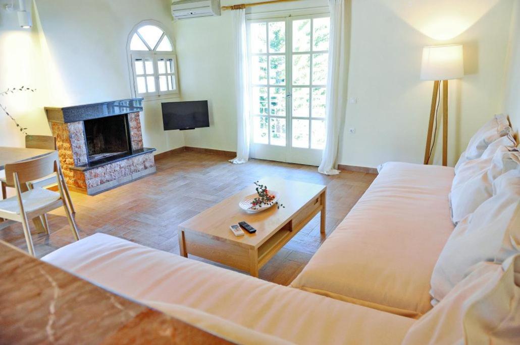 Villa Kastri Apartments فاسيليكي المظهر الخارجي الصورة